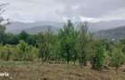 Teren de vanzare 6 mp - 3