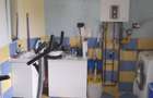 cv 48 Lapusel- teren 480 mp + casa in regim P+M - 11