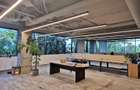 Herastrau exclusivist office 160mp - 2