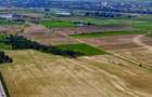 Teren 30 Hectare la Autostrada A1 Bucure?tiPite?ti | Km 34 |