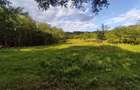 Teren de 3600 mp, în Central - 3
