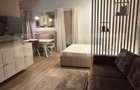 Studio de inchiriat, 40 mp, gradina privata ?i parcare, - 1