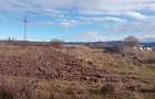 Teren intravilan 2500m2, Beriu, Hunedoara. - 6
