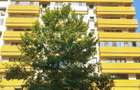 Piata Unirii, Bloc 2018, Centrala, 2 camere 75 mp, Firma, Locuit, Anaf