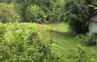 Teren de vanzare 15.000 mp in Telega - 10