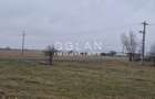 Teren extravilan 11.300 mp, front 39 m, Selimbar - 7