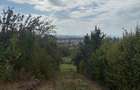 Teren intravilan, 10 ari, Str. Miron Costin