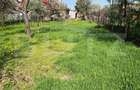 Casă vanzare cu 3 camere in zona Dambu, 877 mp, zona semicentrala - 4