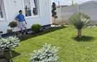 Casa Parter 130m2 dotari premium - 1
