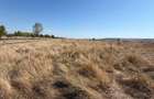 Teren de Vanzare in Barlad pret De Nerefuzat Doar 35 euro mp - 2