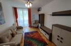 Apartament 3 Camere Dristor Pet Friendly Prox. Metrou - 7