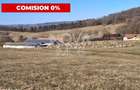 Ferma complet echipata de vanzare zona Agnita, judetul Sibiu - 2
