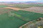 Teren extravilan, 8700 mp, pretabil agricultura sau investi?ie - Bod - 7