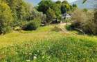 Teren 3.800 mp - Slatina, Nucsoara