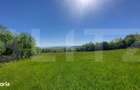 Investitie 3,6 ha Glamping, Pensiune sau Centru Ecvestru in inima - 1