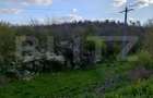 Teren padure 10 ha, extravilan, 400 ml deschidere, stradal, zona Breasta - 3