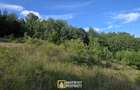 De vânzare teren extravilan  8,2037 ha pădure și pășune Borod, Bihor - 8