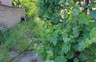 Casa cu 2 camere, bucatarie, baie in zona Aquapark Nymphaea - 1