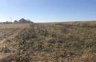Vand teren 38575 mp Dealu Mare Jud Botosani - 2