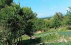 Casă cu 2 camere cu Teren 53 Mp în Tămășești - 3