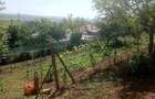 Casa in vanzare Vaslui teren 1100 mp 114 mp constructie 2 camere - 7
