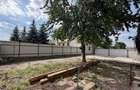 Casă de renovat cu teren 557 mp, central Str. Gh. Barițiu - Carei - 5