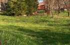 Teren intravilan 14000 mp + IZVOR puternic in jud. Cluj - 6