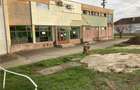 Spatiu comercial Nadlac vand inchiriez - 2