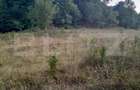 Teren extravilan, 2.175 mp, zona ?esuri