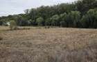 Teren 4070 mp in Scrovistea la padure si lac - 3