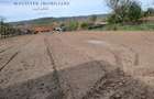 Casa 5 Camere, Teren 1600mp Zorlentu Mare