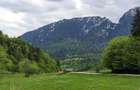 Zarnesti-Barsa Fierului-Teren 1.893 mp pentru Casa de vacan?a, A-frame - 5