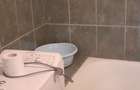 Apartament cu 2 camere semidecomandat în Careiului - 8