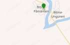 Vanzare teren. 2500mp. sat.Bitina Pamanteni,jud.Ialomita - 1
