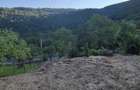 Vand teren pe Transalpina 800 mp cu livada Capalna langa barajul Obrejii de Capalna - 5