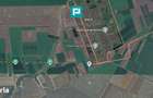 Teren de 8600 Mp2, agricol extravilan, Mailat