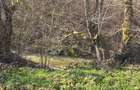 Proprietar vand 2 hectare teren extravilan - 5