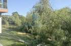 Iancu Nicolae 3 camere cu Terasa 16 Mp si parcare + Pet Friendly - 6