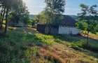 De vanzare proprietate deosebita in judetul Bihor Comuna Orvisele - 2