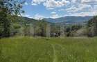 Teren Extravilan 5049 mp , Vama - Bucovina - 4