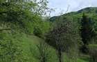 Teren Podul Dambovitei,Lunca Cheii , Arges - 2