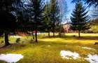 Cabane cu 10 camere Arieseni