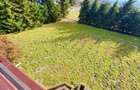Vila cu teren 3389 mp in Busteni, zona Piatra Arsa - 1