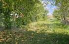 Teren extravilan de vanzare, 4000 mp, zona Simeria - 4