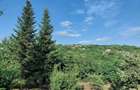 Vanzare teren pentru construc?ie locuin?a - 2