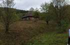 Vand teren intravilan, Valea Neagra, Bistra - 3