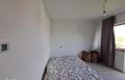 Oportunitate !Casa tip duplex de vanzare ,Dezmir - 14