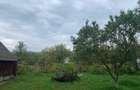 Casa + teren livada Stalpeni, Judetul Arges - 3
