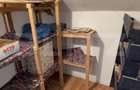 Vila P+M cu 3 dormitoare, curte amenajata si utilitati complete, Marac