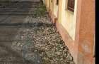 Vand teren intravilan com. Podari, localitatea Braniste, Dolj - 2